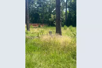 1981 La Salle Park Drive, Conroe, TX 77304 - Photo 3