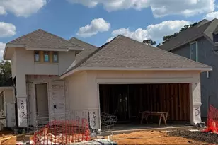 243 Navasota Narrows Wy, Conroe, TX 77304 - Photo 3