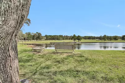 15321 Forest Grove Drive, Willis, TX 77378 - Photo 11