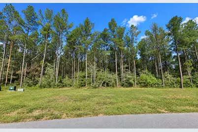 15321 Forest Grove Drive, Willis, TX 77378 - Photo 3