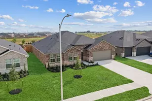31314 Hastings Pk Dr, Fulshear, TX 77441 - Photo 33