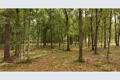 12825 Hill Creek Rd, Montgomery, TX 77356 - Photo 17
