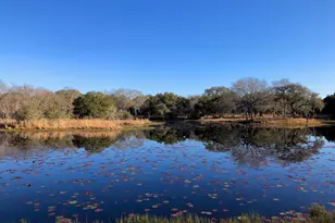 1141 Reeves Rd, Garwood, TX 77442 - Photo 1