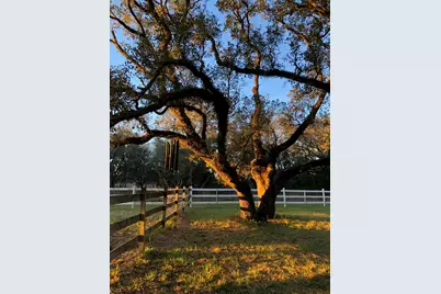 1141 Reeves Road, Garwood, TX 77442 - Photo 29
