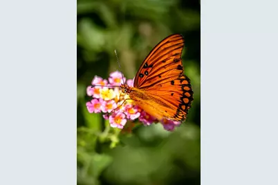 236 S Main Street, Grapeland, TX 75844 - Photo 31