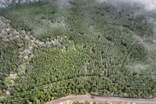 15 Cr 2140, Crockett, TX 75835 - Photo 1