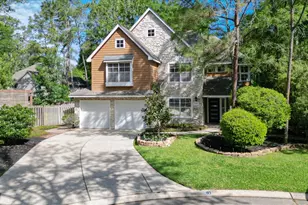 10 Owls Cove Pl, The Woodlands, TX 77382 - Photo 3