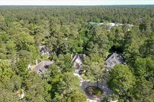 10 Owls Cove Pl, The Woodlands, TX 77382 - Photo 43