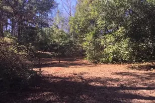 777 Co Rd 1100, Woodville, TX 75979 - Photo 7