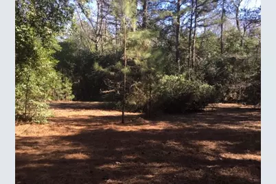 777 County Road 1100, Woodville, TX 75979 - Photo 5