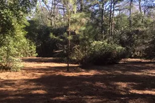 777 Co Rd 1100, Woodville, TX 75979 - Photo 5