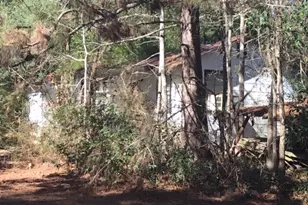 777 Co Rd 1100, Woodville, TX 75979 - Photo 17