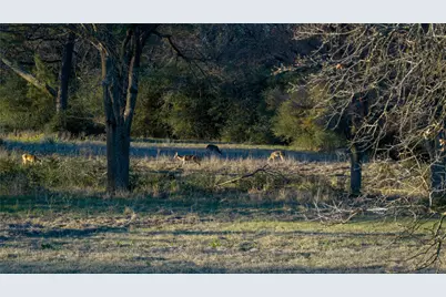 1728 Cr 384, Marquez, TX 77865 - Photo 25