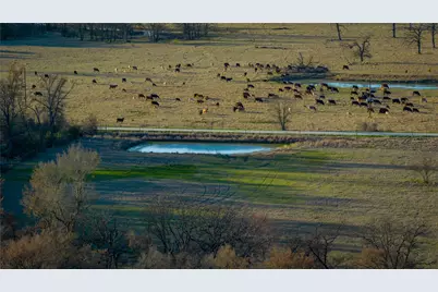 1728 Cr 384, Marquez, TX 77865 - Photo 21