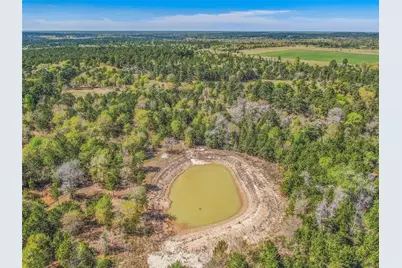 3656 Luthe Road, Bedias, TX 77831 - Photo 5