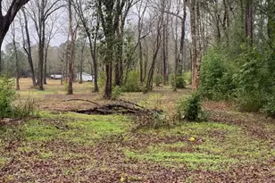 00 Cochran St, Shepherd, TX 77371 - Photo 1