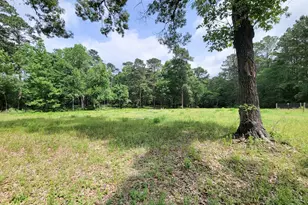 20284 Forest Woods Ln, Montgomery, TX 77356 - Photo 35