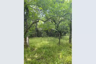 Tbd Cr 204, Plantersville, TX 77363 - Photo 9