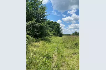 Tbd Cr 204, Plantersville, TX 77363 - Photo 11