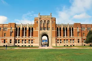 315 Branard St, Houston, TX 77006 - Photo 19