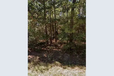110 Pine Point Circle, Onalaska, TX 77360 - Photo 1