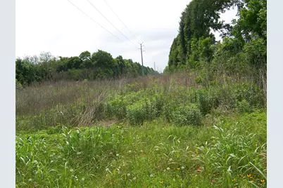 Tbd Donigan Road, Brookshire, TX 77423 - Photo 5