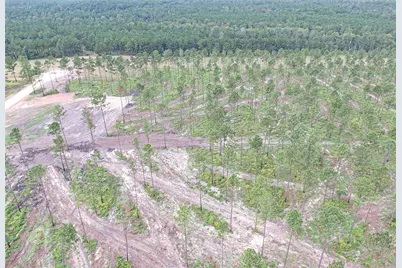 003 Lucky 13 Rd, Livingston, TX 77351 - Photo 11