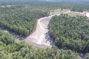 003 Lucky 13 Rd, Livingston, TX 77351 - Photo 1