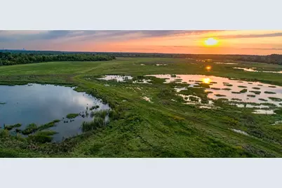 8746 Parkway Forest Drive, Houston, TX 77044 - Photo 5