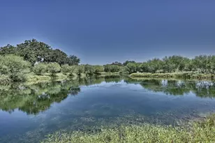 6823 Fawn Oaks Ridge, Iola, TX 77861 - Photo 1
