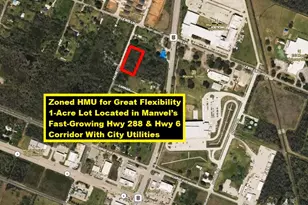 00 Palmetto Rd, Manvel, TX 77578 - Photo 1