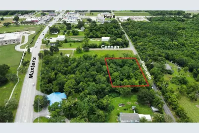 00 Palmetto Road, Manvel, TX 77578 - Photo 3