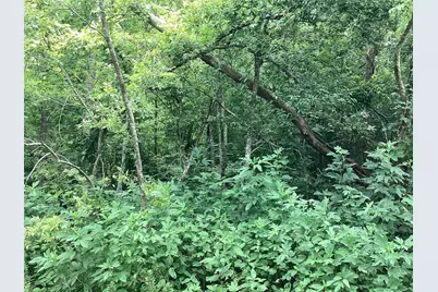 00 Palmetto Road, Manvel, TX 77578 - Photo 11