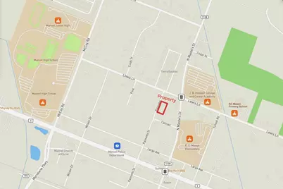 00 Palmetto Road, Manvel, TX 77578 - Photo 15