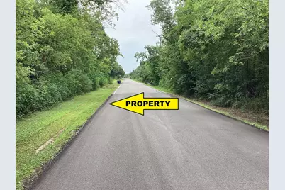 00 Palmetto Road, Manvel, TX 77578 - Photo 9