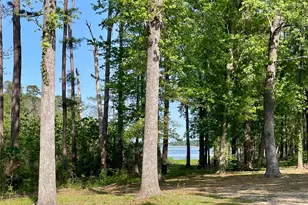 5972 State Hwy 147, Zavalla, TX 75980 - Photo 15