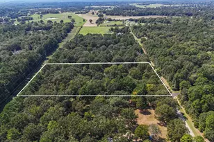 23161 Henson Rd, Montgomery, TX 77356 - Photo 9