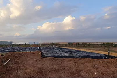 31530 Bluebell Avenue, Fulshear, TX 77423 - Photo 17