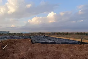 31530 Bluebell Ave, Fulshear, TX 77423 - Photo 17