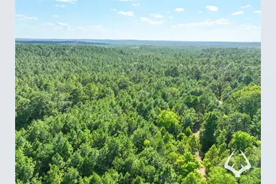 1698 County Road 2975, Colmesneil, TX 75938 - Photo 23