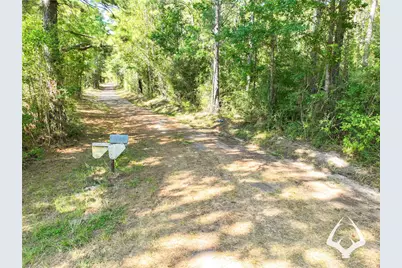 1698 County Road 2975, Colmesneil, TX 75938 - Photo 45