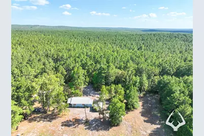 1698 County Road 2975, Colmesneil, TX 75938 - Photo 3