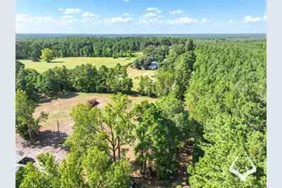 1698 County Road 2975, Colmesneil, TX 75938 - Photo 19