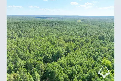 1698 County Road 2975, Colmesneil, TX 75938 - Photo 17