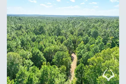 1698 County Road 2975, Colmesneil, TX 75938 - Photo 49