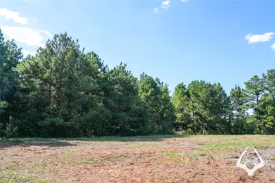 1698 County Road 2975, Colmesneil, TX 75938 - Photo 27