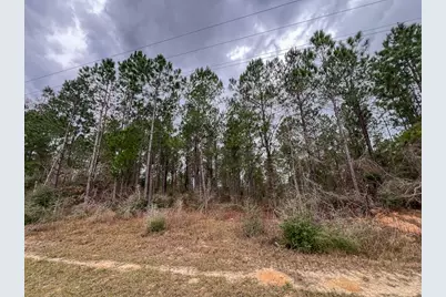 T-3 Farm To Market 1012, Newton, TX 75966 - Photo 11