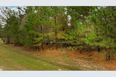 221 Skipper Jack, Montgomery, TX 77316 - Photo 9