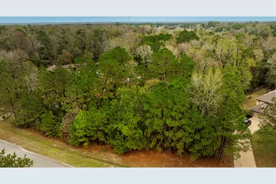 221 Skipper Jack, Montgomery, TX 77316 - Photo 3