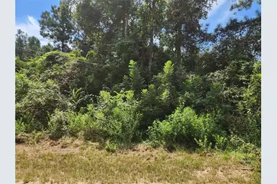 Lot 27 Mayhaw Lane, Plantersville, TX 77363 - Photo 9